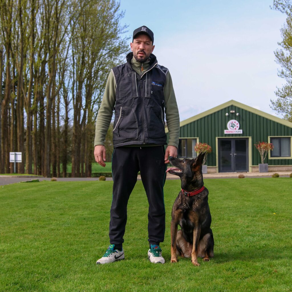Tarik Jayousi dog training