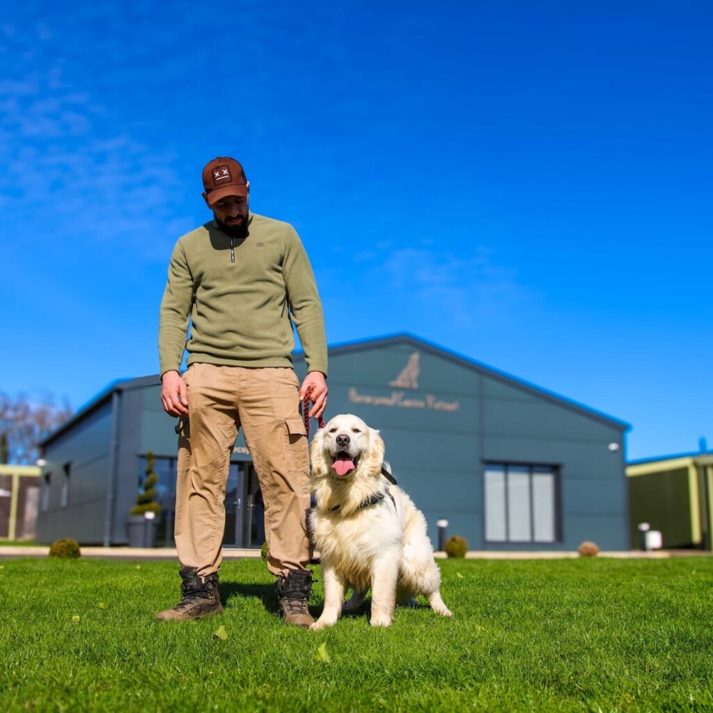 Taz standing with a Golden Retriever in front of Heronswood Canine Retreat